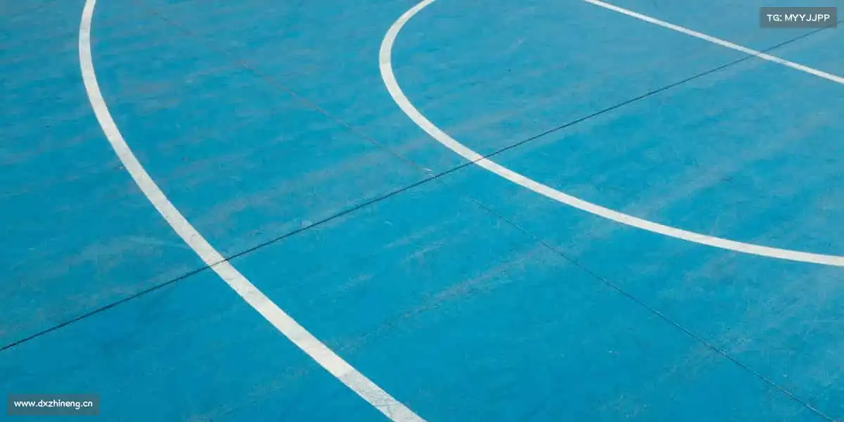 zoty中欧🏀跳跃、奔跑、冲刺 —— 每一次拼搏，都是对自己的致敬！